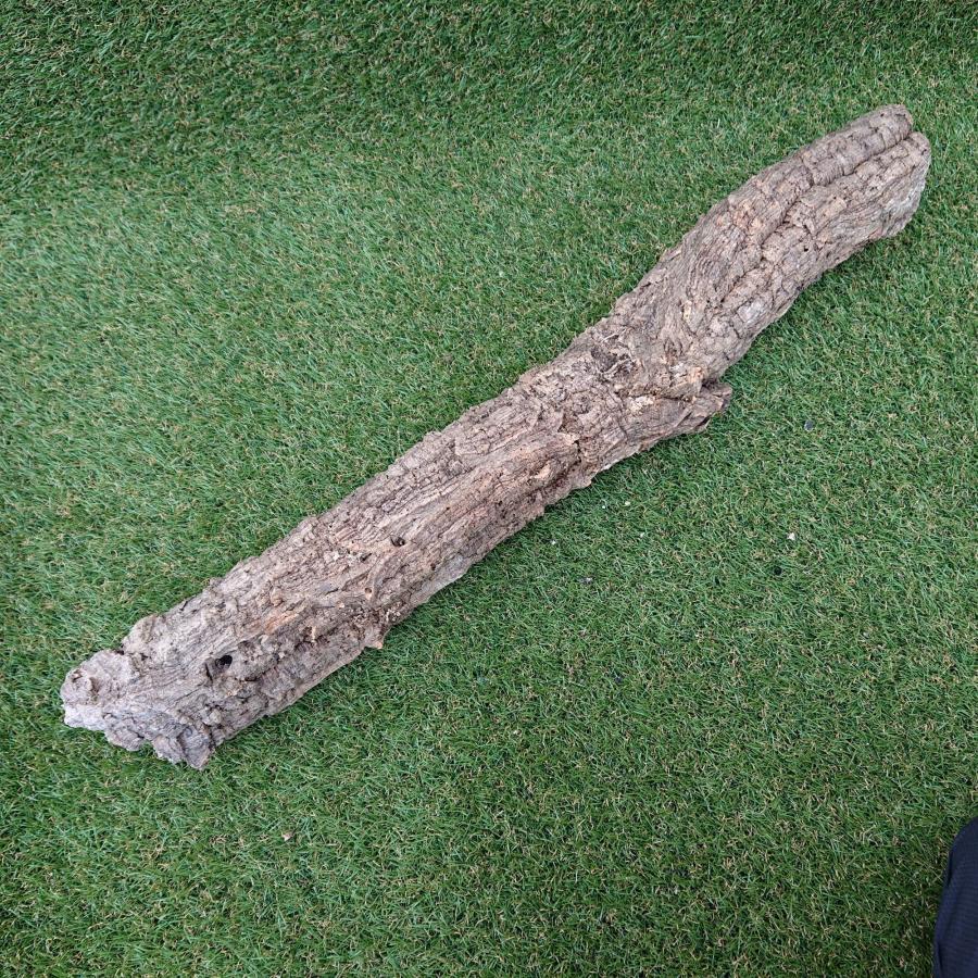 一点物 コルク樹皮 チューブ（筒状） ポルトガル産 天然コルク 全長約80cm 外径約9cm 爬虫類シェルター テラリウム レイアウト No.008 |  | 01