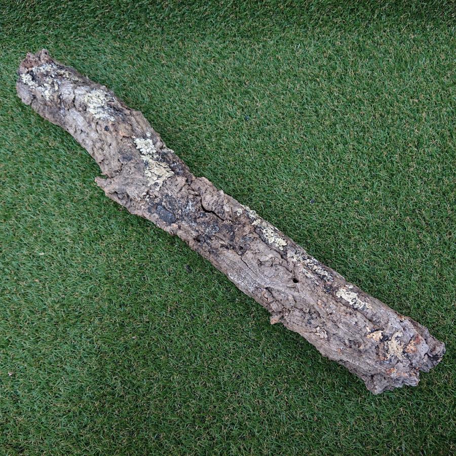 一点物 コルク樹皮 チューブ（筒状） ポルトガル産 天然コルク 全長約80cm 外径約9cm 爬虫類シェルター テラリウム レイアウト No.008 |  | 02