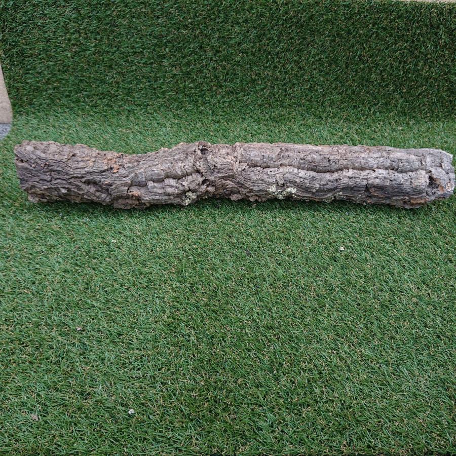 一点物 コルク樹皮 チューブ（筒状） ポルトガル産 天然コルク 全長約80cm 外径約9cm 爬虫類シェルター テラリウム レイアウト No.008 |  | 03