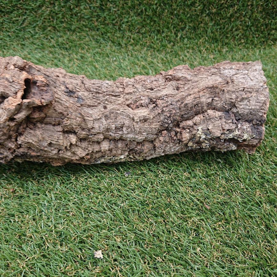 一点物 コルク樹皮 チューブ（筒状） ポルトガル産 天然コルク 全長約80cm 外径約9cm 爬虫類シェルター テラリウム レイアウト No.008 |  | 05
