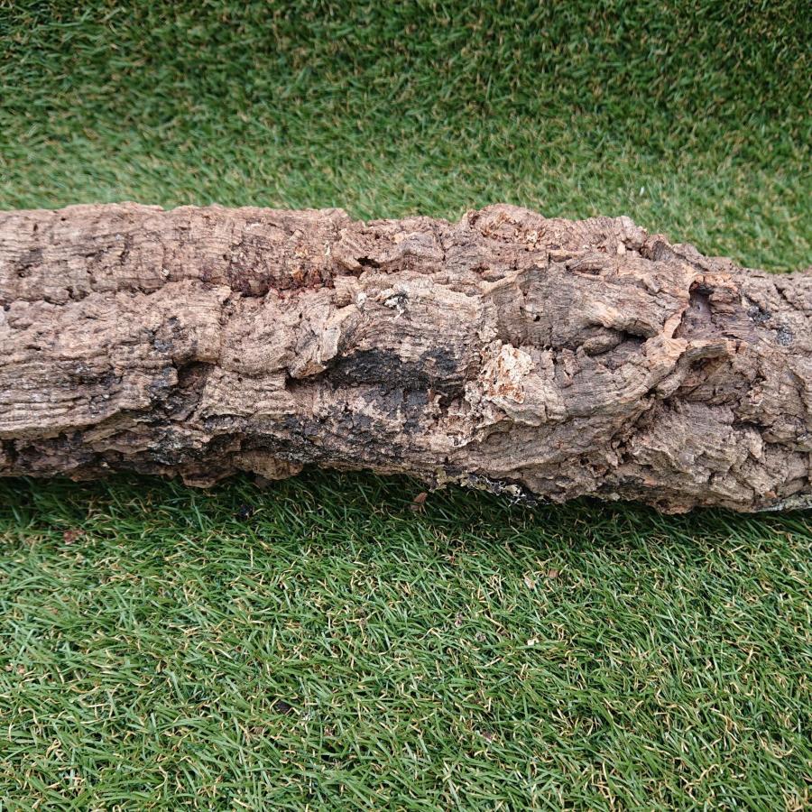 一点物 コルク樹皮 チューブ（筒状） ポルトガル産 天然コルク 全長約80cm 外径約9cm 爬虫類シェルター テラリウム レイアウト No.008 |  | 06