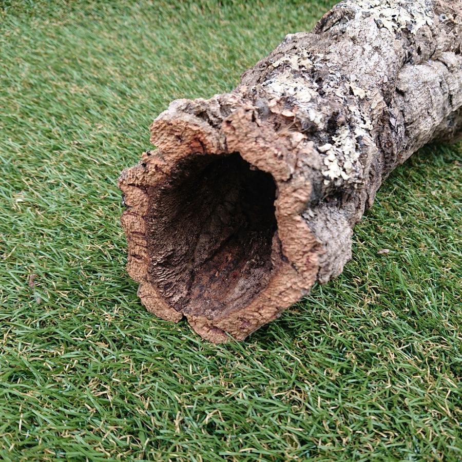 一点物 コルク樹皮 チューブ（筒状） ポルトガル産 天然コルク 全長約80cm 外径約9cm 爬虫類シェルター テラリウム レイアウト No.008 |  | 07