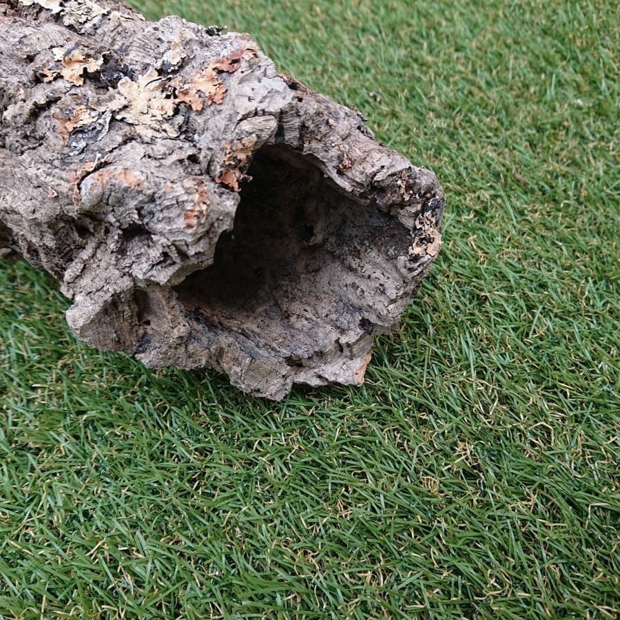 一点物 コルク樹皮 チューブ（筒状） ポルトガル産 天然コルク 全長約80cm 外径約9cm 爬虫類シェルター テラリウム レイアウト No.008 |  | 08