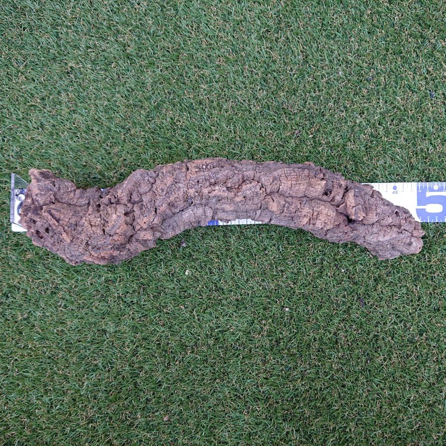 一点物 コルク樹皮 チューブ（筒状） ポルトガル産 天然コルク 全長約50cm 外径約7cm 爬虫類シェルター テラリウム レイアウト No.009 | 