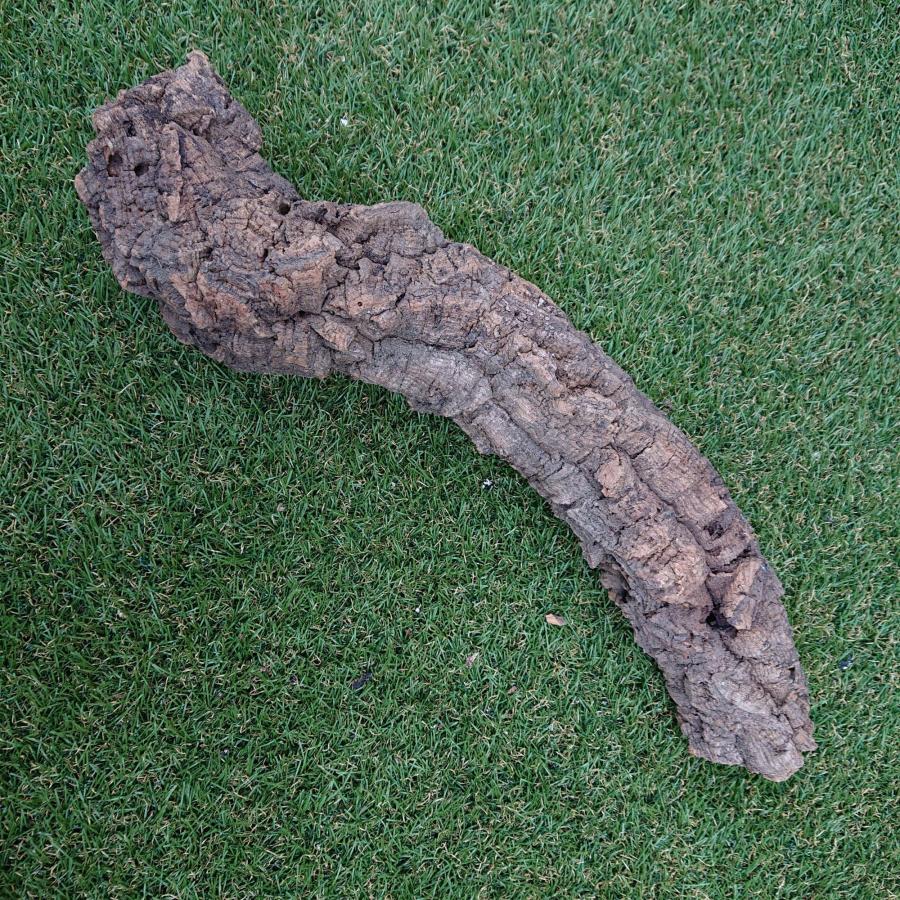 一点物 コルク樹皮 チューブ（筒状） ポルトガル産 天然コルク 全長約50cm 外径約7cm 爬虫類シェルター テラリウム レイアウト No.009 |  | 01
