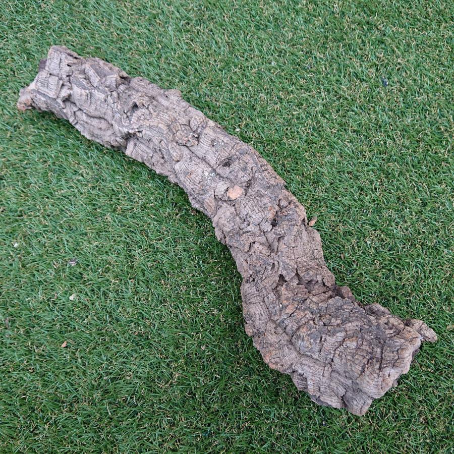 一点物 コルク樹皮 チューブ（筒状） ポルトガル産 天然コルク 全長約50cm 外径約7cm 爬虫類シェルター テラリウム レイアウト No.009 |  | 02