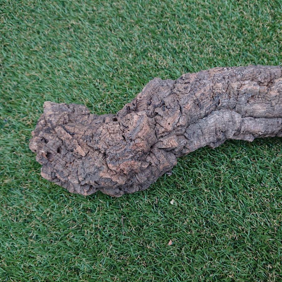 一点物 コルク樹皮 チューブ（筒状） ポルトガル産 天然コルク 全長約50cm 外径約7cm 爬虫類シェルター テラリウム レイアウト No.009 |  | 03
