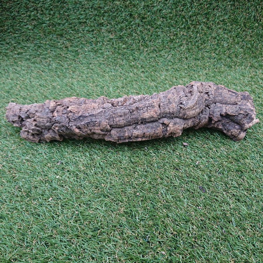 一点物 コルク樹皮 チューブ（筒状） ポルトガル産 天然コルク 全長約50cm 外径約7cm 爬虫類シェルター テラリウム レイアウト No.009 |  | 04