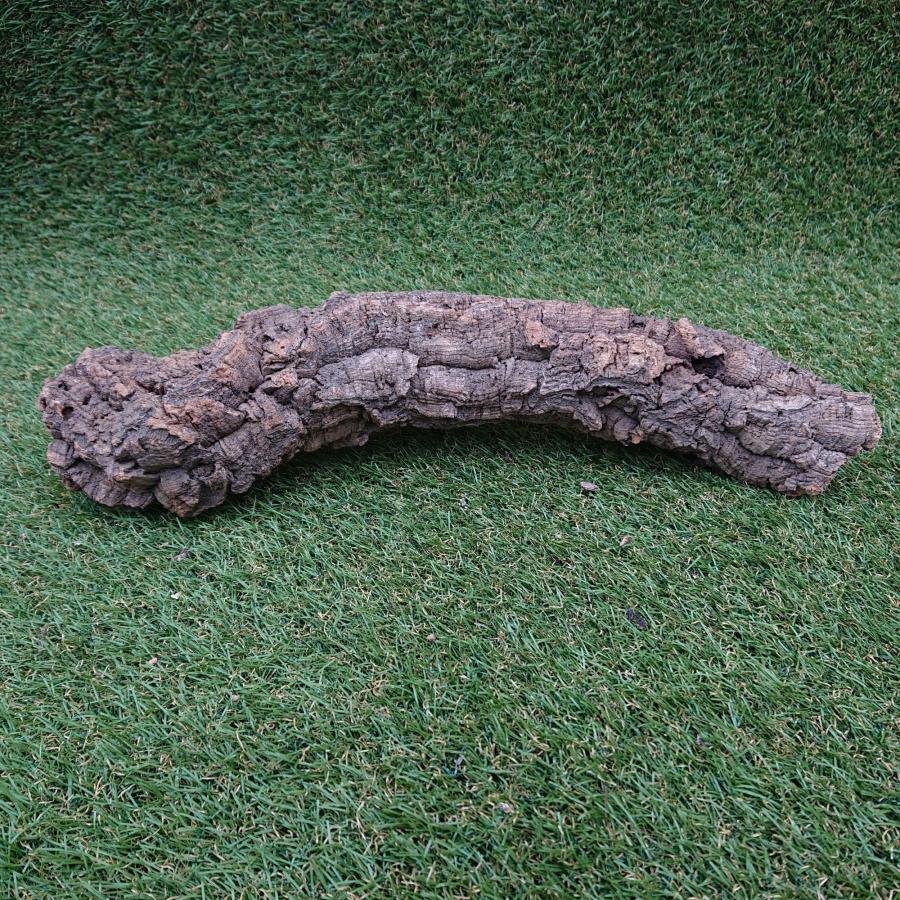 一点物 コルク樹皮 チューブ（筒状） ポルトガル産 天然コルク 全長約50cm 外径約7cm 爬虫類シェルター テラリウム レイアウト No.009 |  | 05