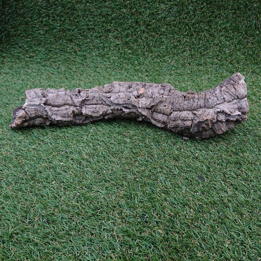 一点物 コルク樹皮 チューブ（筒状） ポルトガル産 天然コルク 全長約50cm 外径約7cm 爬虫類シェルター テラリウム レイアウト No.009 |  | 06