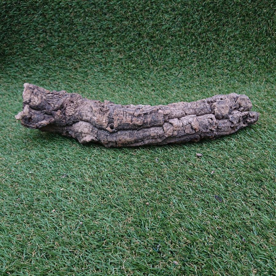 一点物 コルク樹皮 チューブ（筒状） ポルトガル産 天然コルク 全長約50cm 外径約7cm 爬虫類シェルター テラリウム レイアウト No.009 |  | 07