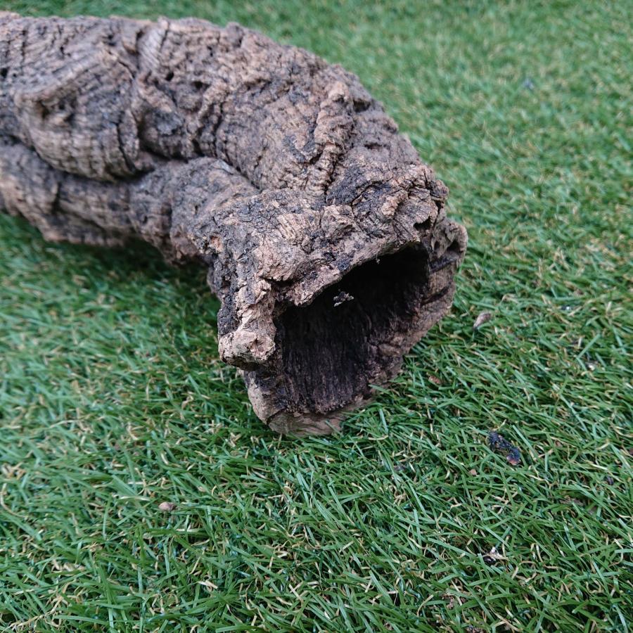一点物 コルク樹皮 チューブ（筒状） ポルトガル産 天然コルク 全長約50cm 外径約7cm 爬虫類シェルター テラリウム レイアウト No.009 |  | 08