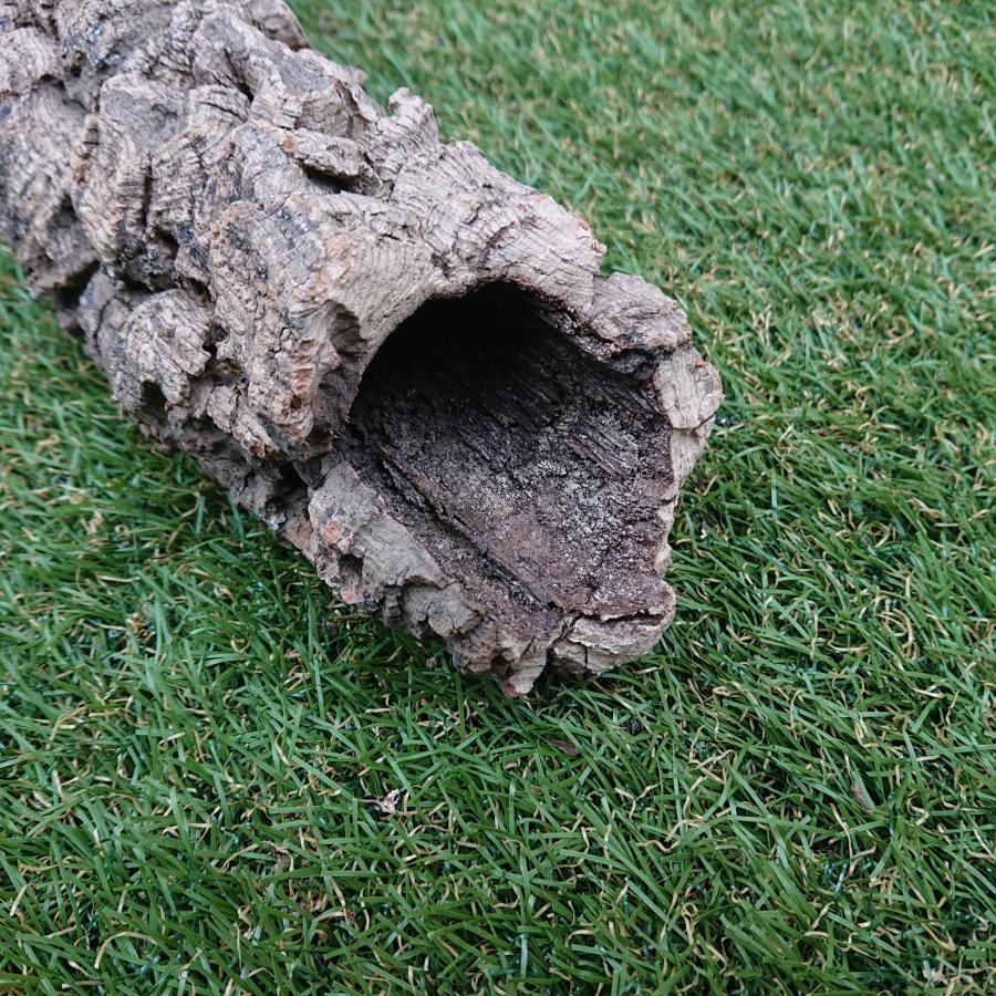 一点物 コルク樹皮 チューブ（筒状） ポルトガル産 天然コルク 全長約50cm 外径約7cm 爬虫類シェルター テラリウム レイアウト No.009 |  | 09