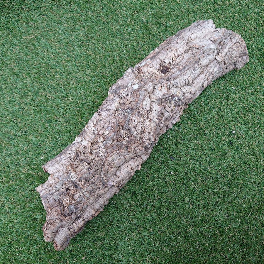 一点物 コルク樹皮 チューブ（筒状） ポルトガル産 天然コルク 全長約60cm 外径約13cm 爬虫類シェルター テラリウム レイアウト No.010 |  | 01