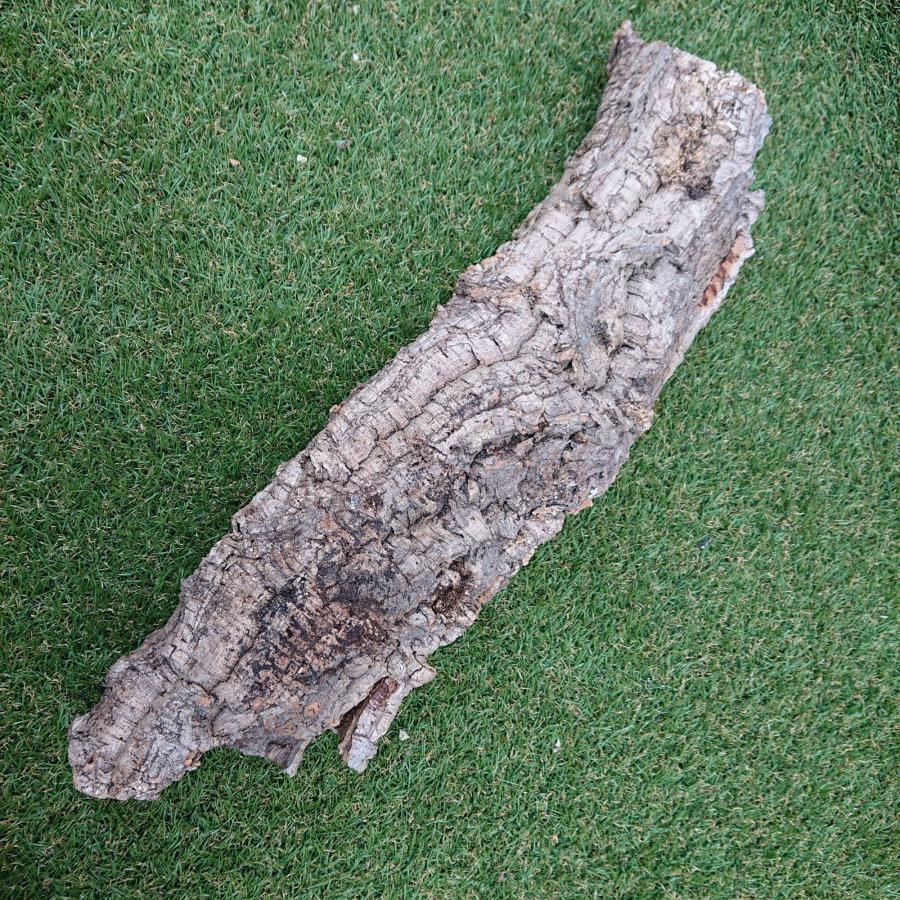 一点物 コルク樹皮 チューブ（筒状） ポルトガル産 天然コルク 全長約60cm 外径約13cm 爬虫類シェルター テラリウム レイアウト No.010 |  | 02