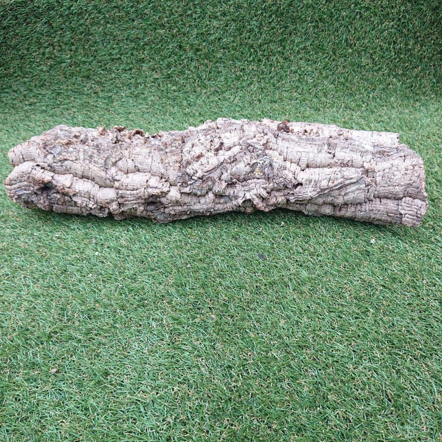 一点物 コルク樹皮 チューブ（筒状） ポルトガル産 天然コルク 全長約60cm 外径約13cm 爬虫類シェルター テラリウム レイアウト No.010 |  | 03