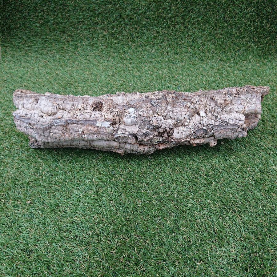 一点物 コルク樹皮 チューブ（筒状） ポルトガル産 天然コルク 全長約60cm 外径約13cm 爬虫類シェルター テラリウム レイアウト No.010 |  | 04