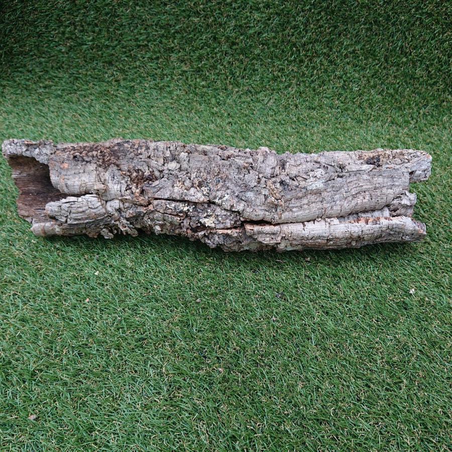 一点物 コルク樹皮 チューブ（筒状） ポルトガル産 天然コルク 全長約60cm 外径約13cm 爬虫類シェルター テラリウム レイアウト No.010 |  | 05