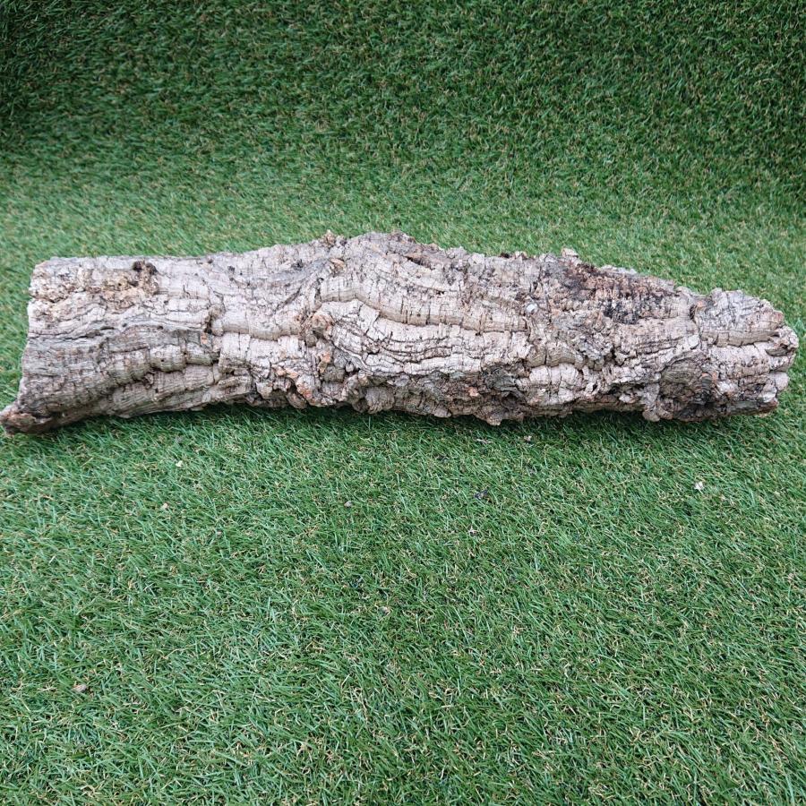 一点物 コルク樹皮 チューブ（筒状） ポルトガル産 天然コルク 全長約60cm 外径約13cm 爬虫類シェルター テラリウム レイアウト No.010 |  | 06
