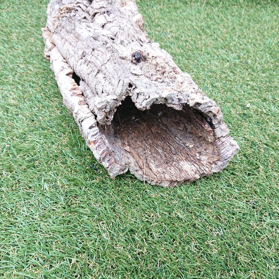 一点物 コルク樹皮 チューブ（筒状） ポルトガル産 天然コルク 全長約60cm 外径約13cm 爬虫類シェルター テラリウム レイアウト No.010 |  | 07