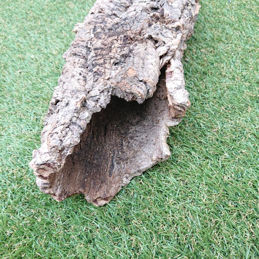 一点物 コルク樹皮 チューブ（筒状） ポルトガル産 天然コルク 全長約60cm 外径約13cm 爬虫類シェルター テラリウム レイアウト No.010 |  | 09