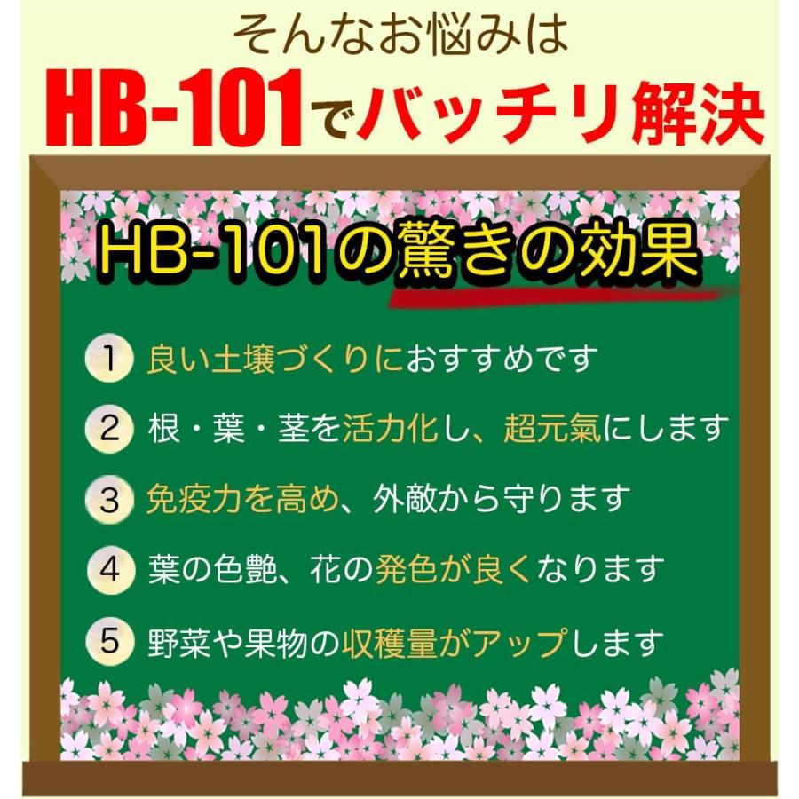 フローラ　HB-101 1L　1000ml プロご用達　野菜を超元気に　今だけプレゼント付き｜abest｜05