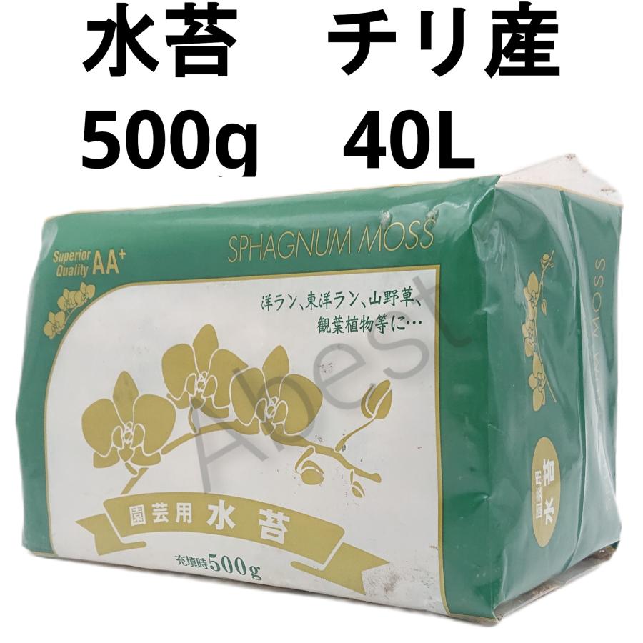 水苔 チリ産 500g AA+ 圧縮水苔（40L） 洋ラン クワガタ 観葉植物
