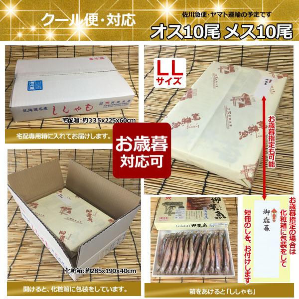 ししゃも シシャモ 北海道産 送料無料 ギフト 本ししゃも 柳葉魚 干物
