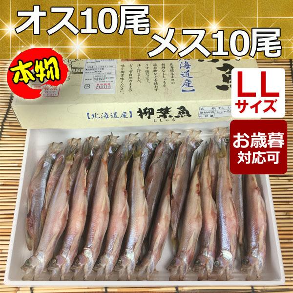 ししゃも シシャモ 北海道産 送料無料 ギフト 本ししゃも 柳葉魚 干物 大きい オス10尾 メス10尾 工場直送 ＬＬ２０｜abesuisann｜03