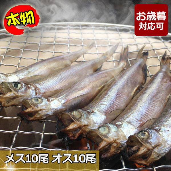 ししゃも シシャモ 北海道産 送料無料 ギフト 本ししゃも 柳葉魚 干物 大きい オス10尾 メス10尾 工場直送 ＬＬ２０｜abesuisann｜06