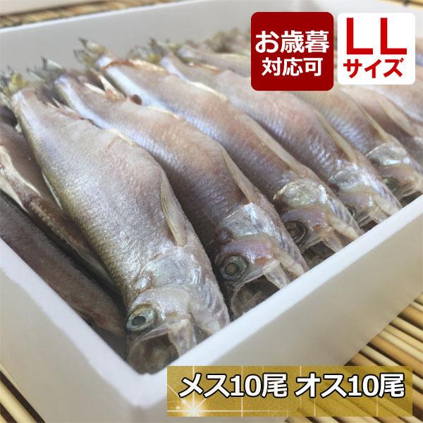 ししゃも シシャモ 北海道産 送料無料 ギフト 本ししゃも 柳葉魚 干物 大きい オス10尾 メス10尾 工場直送 ＬＬ２０｜abesuisann｜10