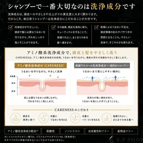 ケアネス テラケア シャンプー 1000ml レフィル LSC : B.F SHOP Yahoo