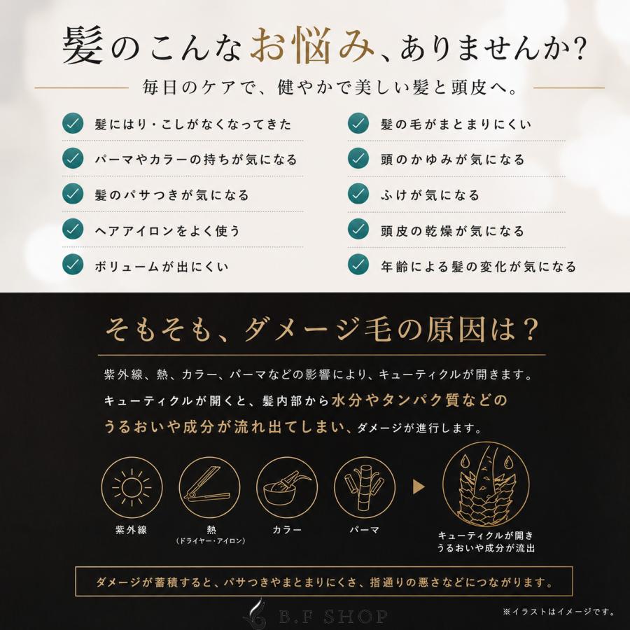 【仕かける品】世話をするネス テラ世話をする シャンプー \u0026 手当て 1000ml + 1000g レフィル LSC
