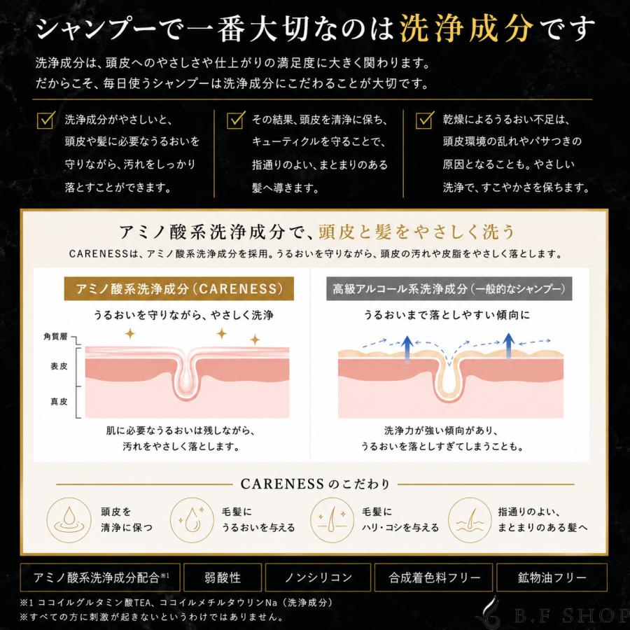 【仕かける品】世話をするネス テラ世話をする シャンプー \u0026 手当て 1000ml + 1000g レフィル LSC