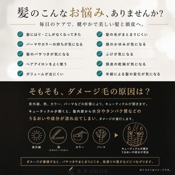 セット品】ケアネス テラケア シャンプー & トリートメント 500ml +