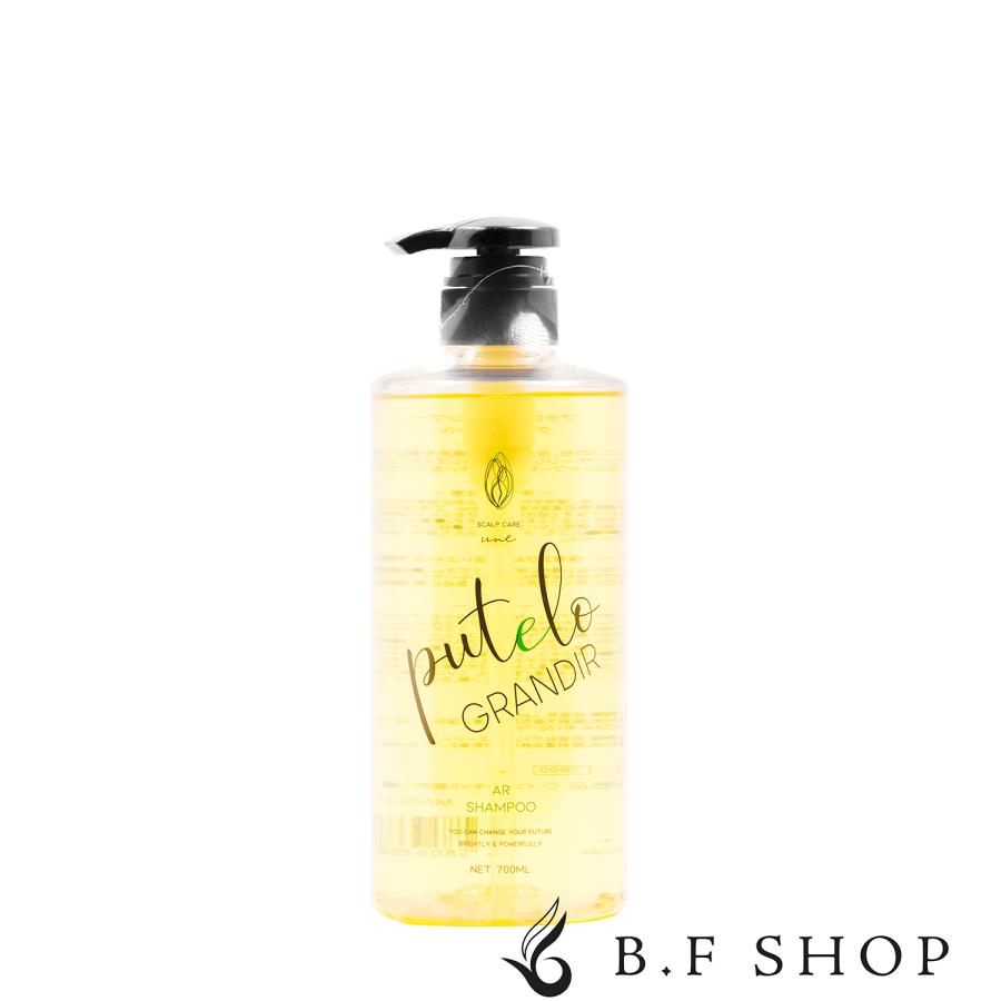 プテロ AR シャンプー グランディール 700ml LSC : B.F SHOP Yahoo!店