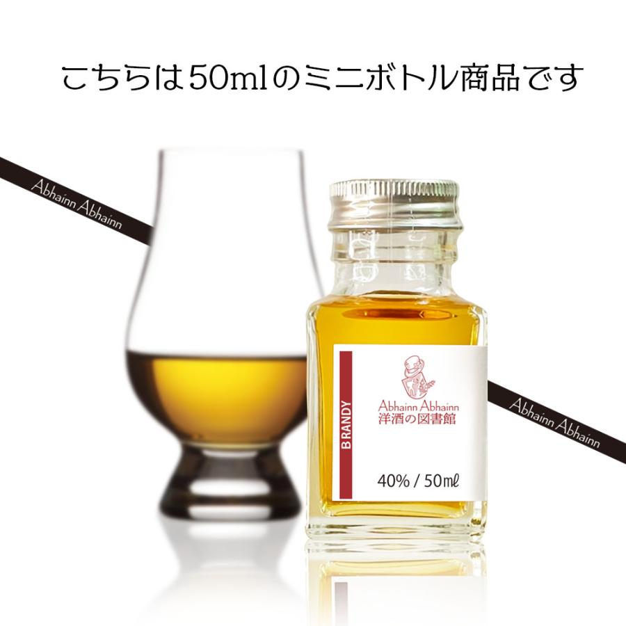 ブランデー ウイスキー　ジン　コニャック　ミニボトル　11本セット 未開栓】ミニボトル ブランデー コニャック ウイスキー スピリッツ 11