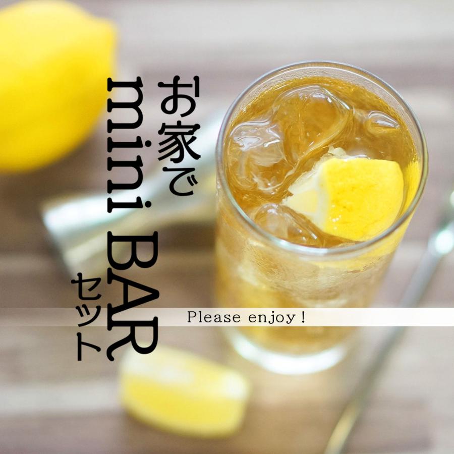 特価 3種 ウィスキー 家飲み 宅飲み お手軽 BAR体験 初級者 ハイ