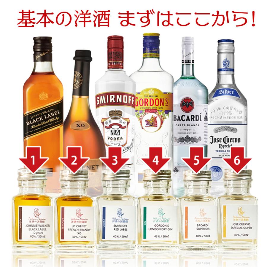基本 洋酒 初心者 飲み比べ ミニボトル 6本 セット ウイスキー