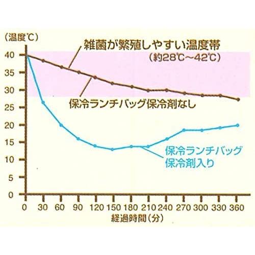 大型 行楽弁当箱 保冷バッグ2個付 大1小1保冷剤 トラディションマインド  日本製 KCPC4SKATER　スケーター社 |  | 05