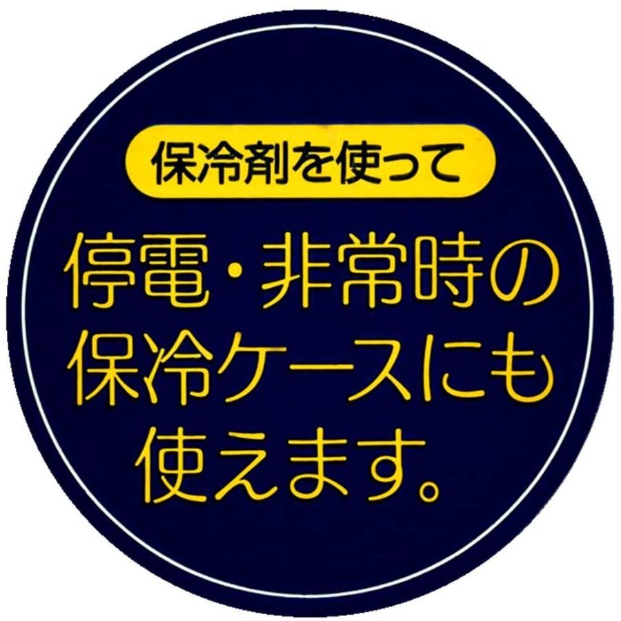 大型 行楽弁当箱 保冷バッグ2個付 大1小1保冷剤 トラディションマインド  日本製 KCPC4SKATER　スケーター社 |  | 06