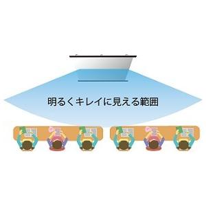 プロジェクタースクリーン 120インチ (16:9)  ロール巻き上げ式 CH-HS120W 日本製の画像