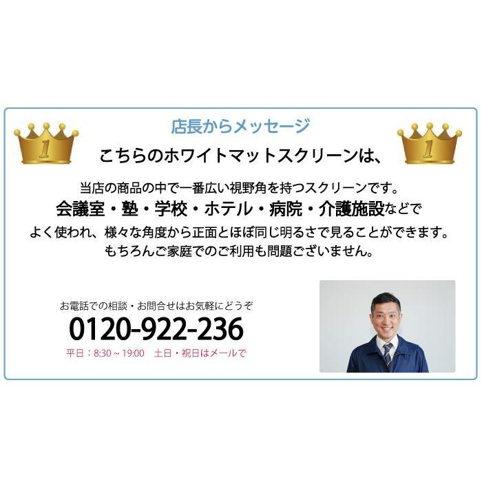 プロジェクタースクリーン 160インチ(16:9) タペストリー式 HS-160W 安心の日本製の画像