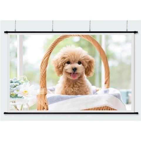 リア投影 プロジェクタースクリーン100インチ(16:9) タペストリー型 RS-100W 日本製