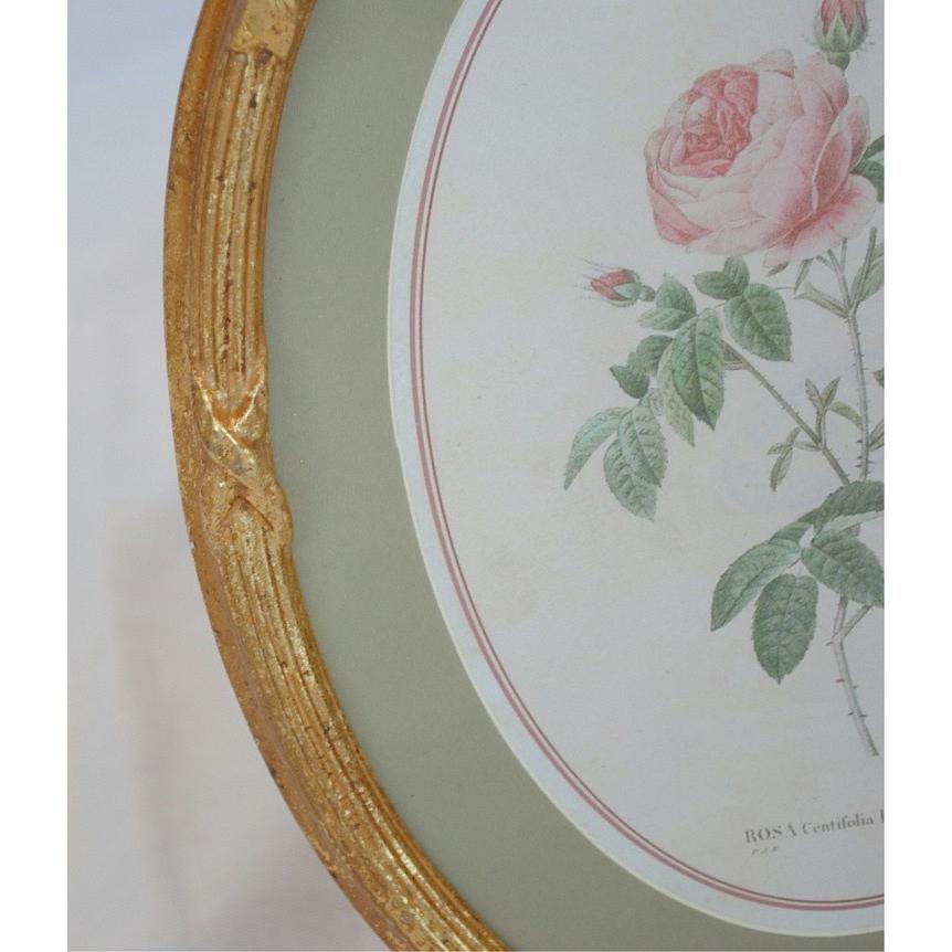 ルドゥーテ 薔薇の額絵 壁掛け リボン額縁 可愛い アンティーク風