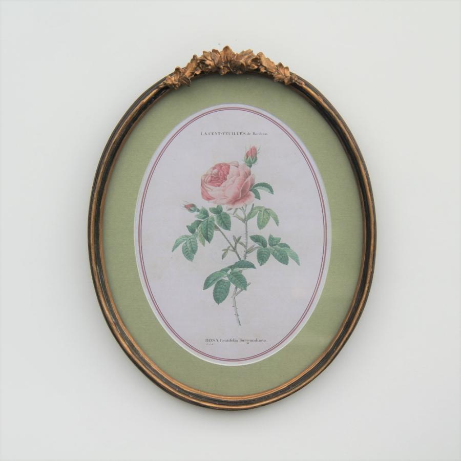 ルドゥーテ 薔薇の額絵 壁掛け 額縁 可愛い アンティーク風 バラ ルドゥーテ 薔薇の額絵 壁掛け 額縁 可愛い アンティーク風 バラ