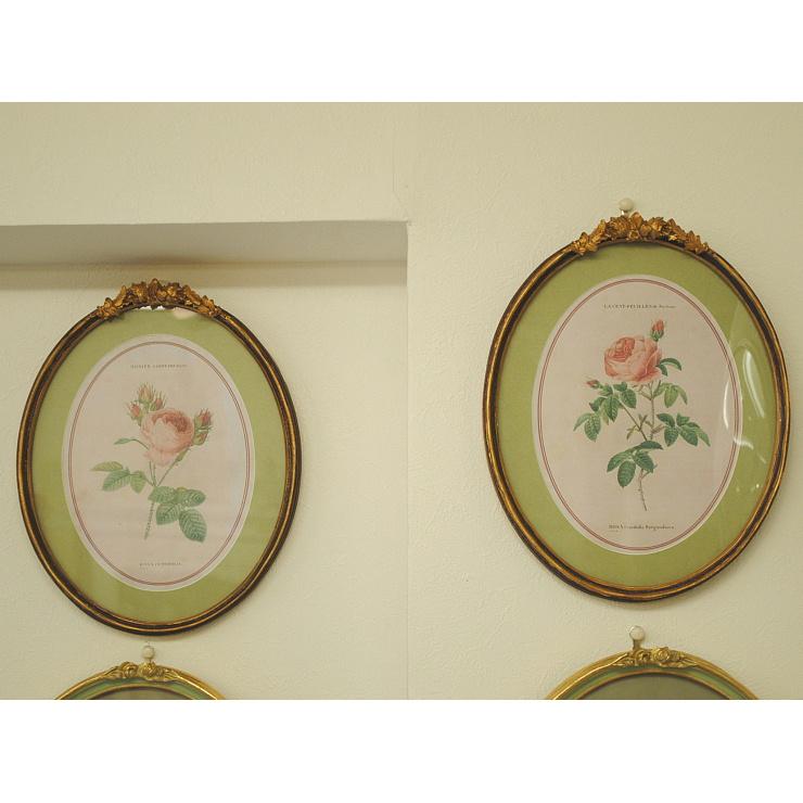 ルドゥーテ 薔薇の額絵 壁掛け 額縁 可愛い アンティーク風 バラ ルドゥーテ 薔薇の額絵 壁掛け 額縁 可愛い アンティーク風 バラ