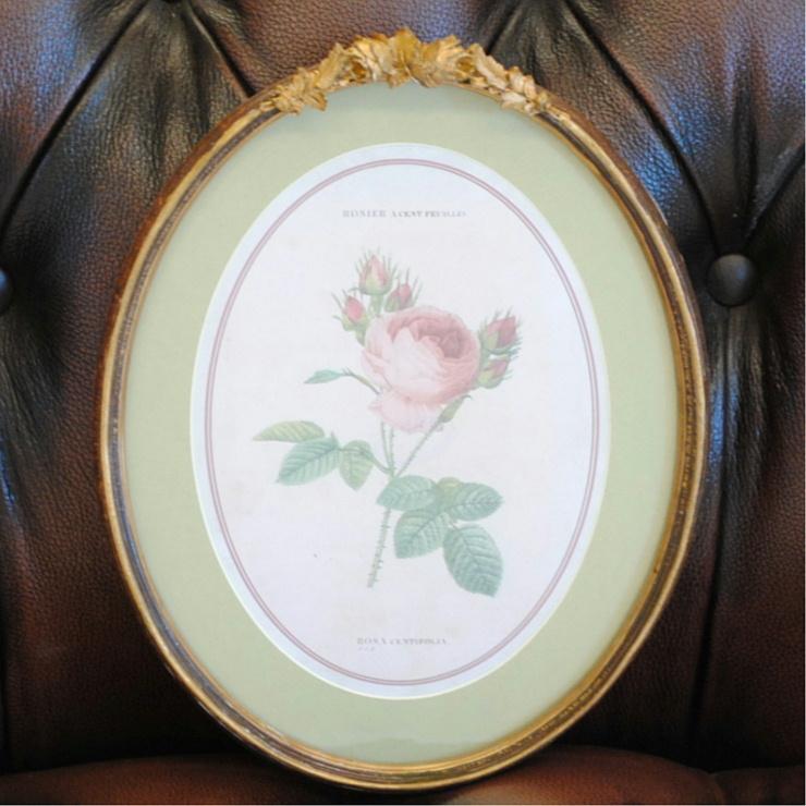 ルドゥーテ 薔薇の額絵 壁掛け 額縁 可愛い アンティーク風 バラ ルドゥーテ 薔薇の額絵 壁掛け 額縁 可愛い アンティーク風 バラ