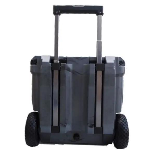 自然派 ニコラ カルマラン マキシミュス ド ラ パスコル 2018 セルヴ