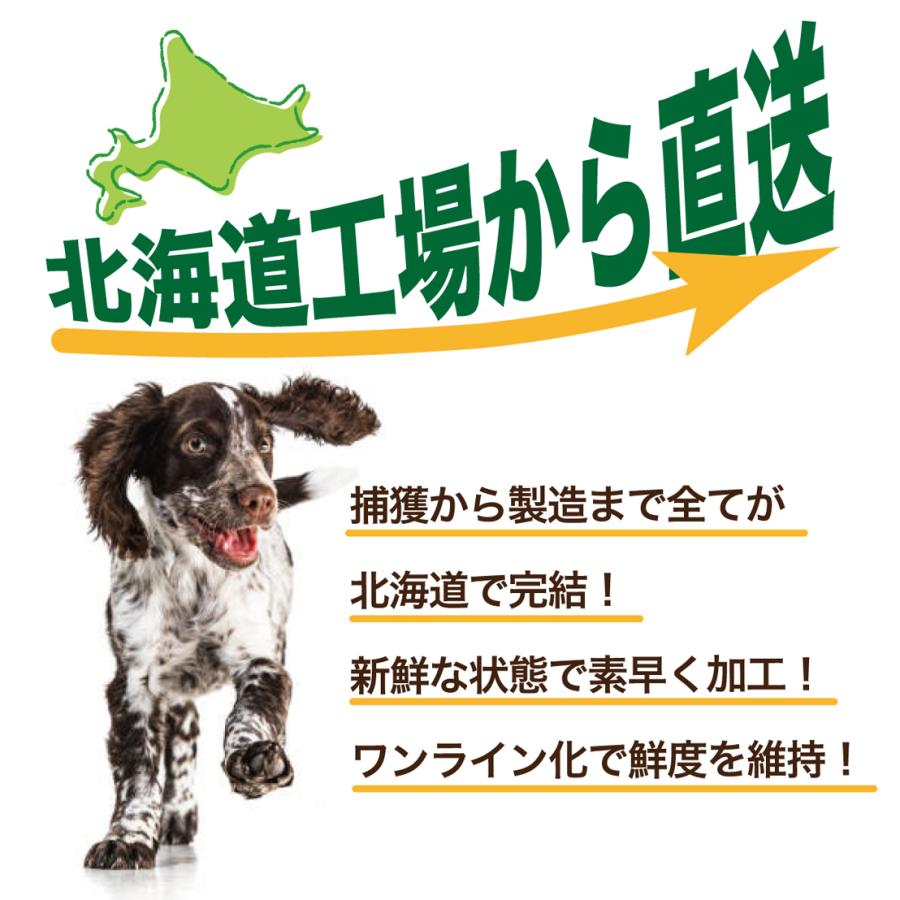 えぞ雪もみじ エゾ鹿赤身肉ブロック 100g 10袋 セット商品 犬 犬用 生肉 ジビエ エゾ鹿 エゾ鹿生肉 赤身肉 ペット 新鮮 冷凍 お得用 小分け セット品 4580674130310 Ables犬おやつ北海道えぞ鹿肉 通販 Yahoo ショッピング